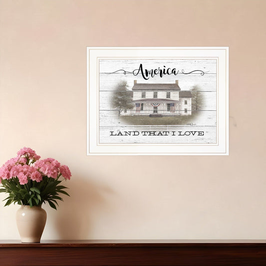 America 1 White Framed Print Wall Art - Homeroots