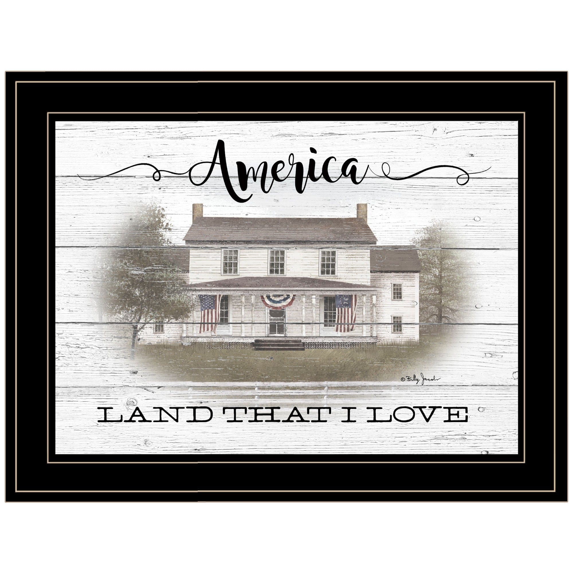 America 2 Black Framed Print Wall Art - Homeroots