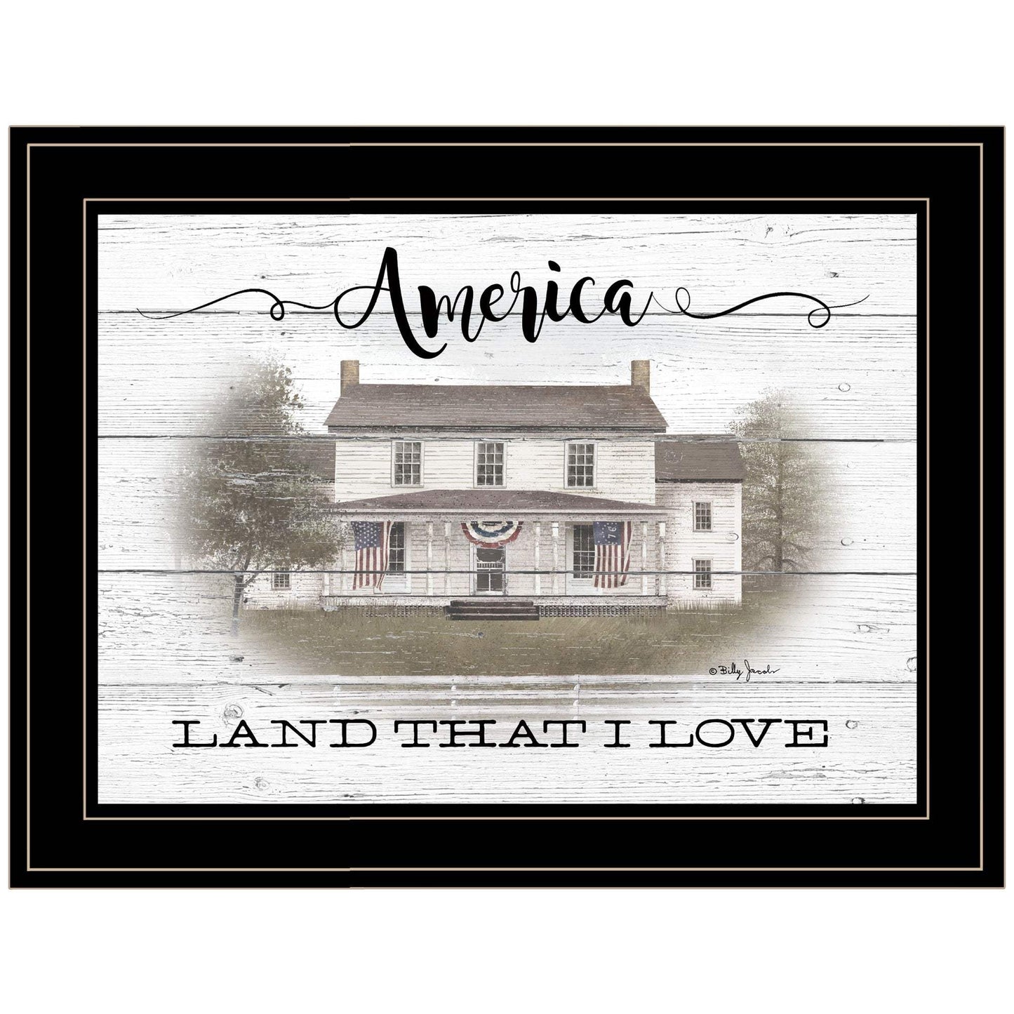 America 2 Black Framed Print Wall Art - Homeroots - Flyclothing LLC