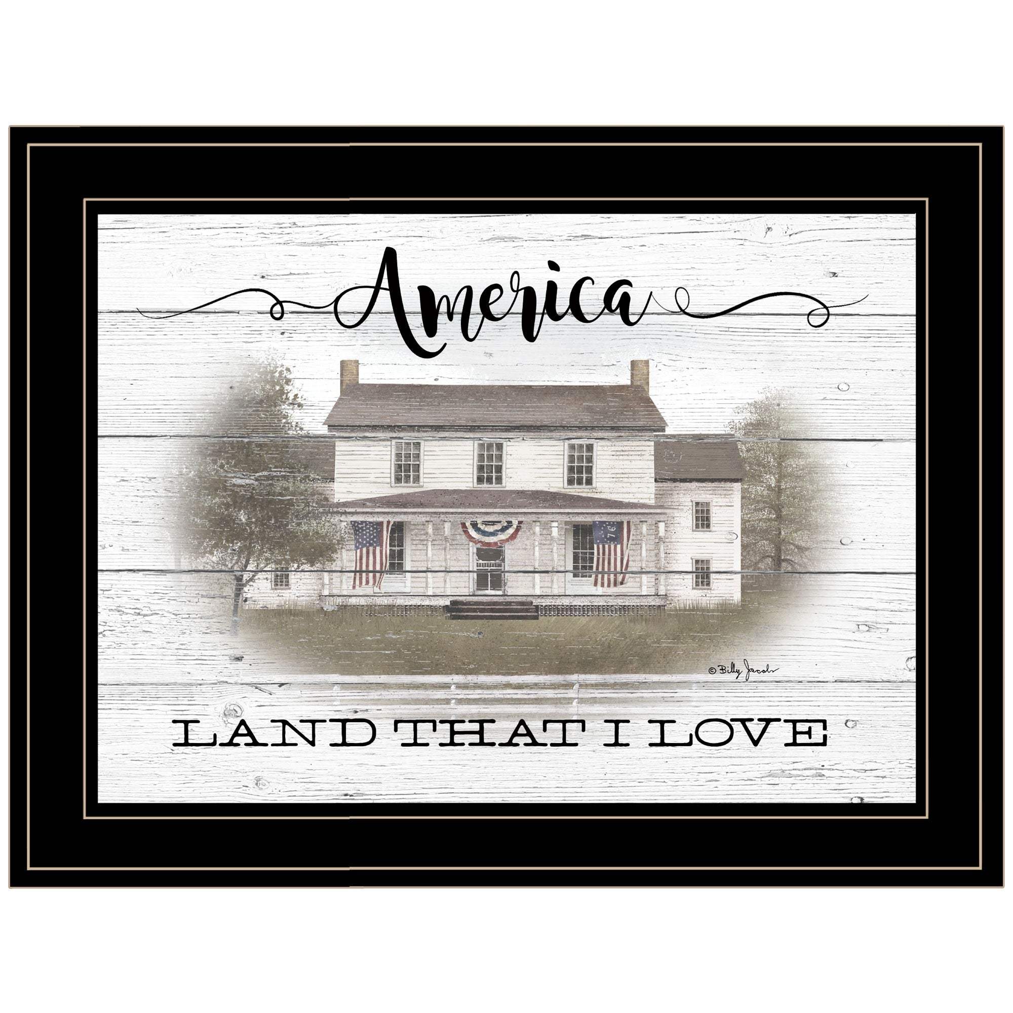 America 2 Black Framed Print Wall Art - Homeroots - Flyclothing LLC