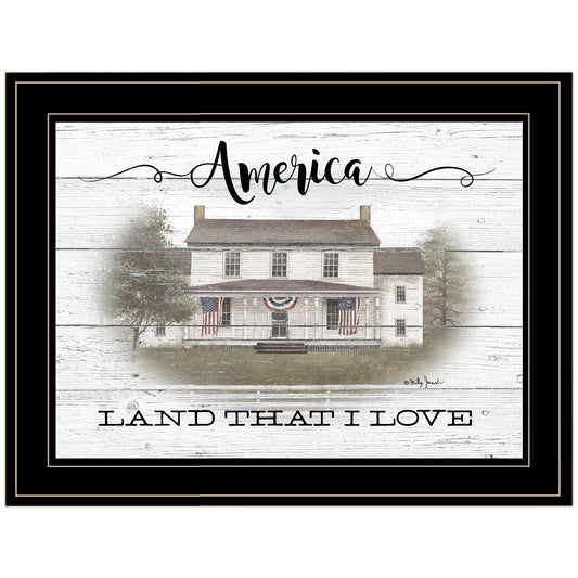 America 2 Black Framed Print Wall Art - Homeroots