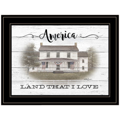 America 2 Black Framed Print Wall Art - Homeroots