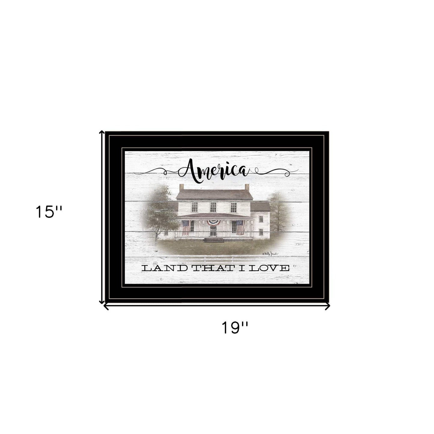 America 2 Black Framed Print Wall Art - Homeroots - Flyclothing LLC