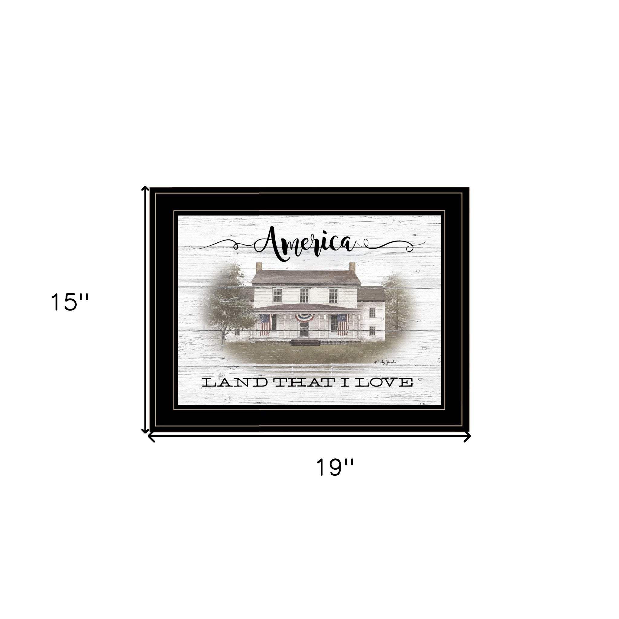America 2 Black Framed Print Wall Art - Homeroots - Flyclothing LLC
