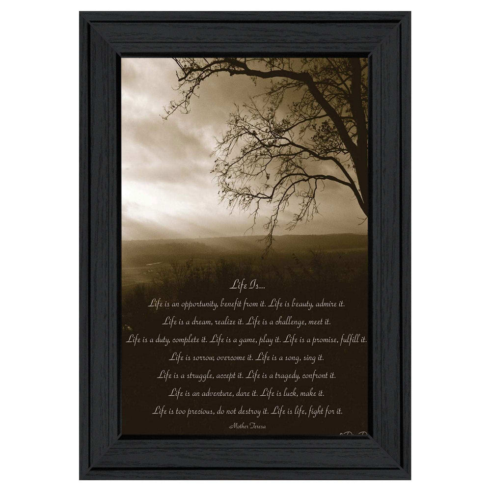 Life is 3 Black Framed Print Wall Art - Homeroots - Flyclothing LLC