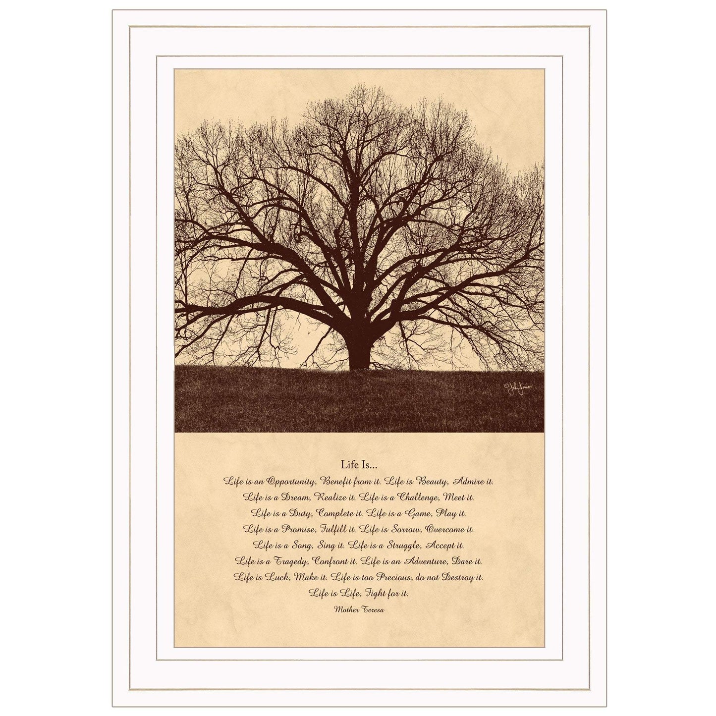 Life Is 5 White Framed Print Wall Art - Homeroots - Flyclothing LLC