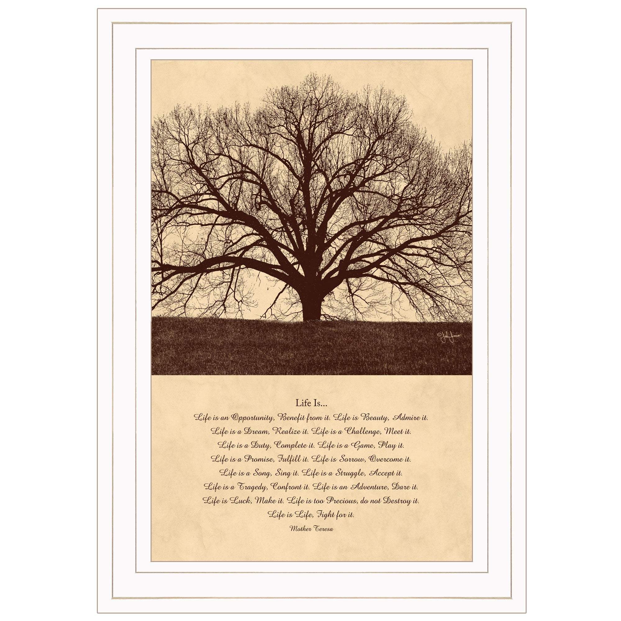 Life Is 5 White Framed Print Wall Art - Homeroots - Flyclothing LLC