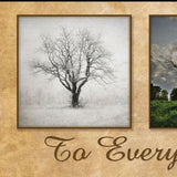 There is a Season Big Trees Black Framed Print Wall Art - Homeroots