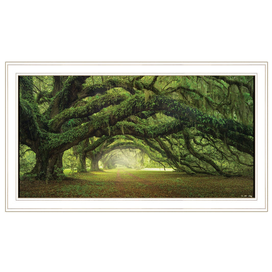 Passage 2 White Framed Print Wall Art - Homeroots