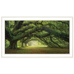 Passage 2 White Framed Print Wall Art - Homeroots