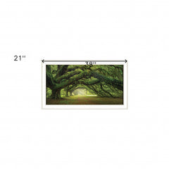 Passage 2 White Framed Print Wall Art - Homeroots