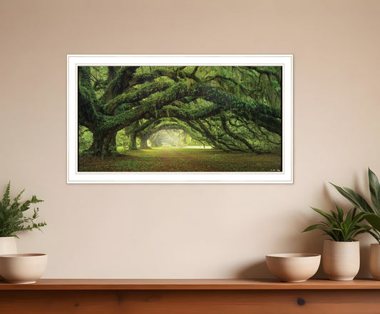 Passage 2 White Framed Print Wall Art - Homeroots