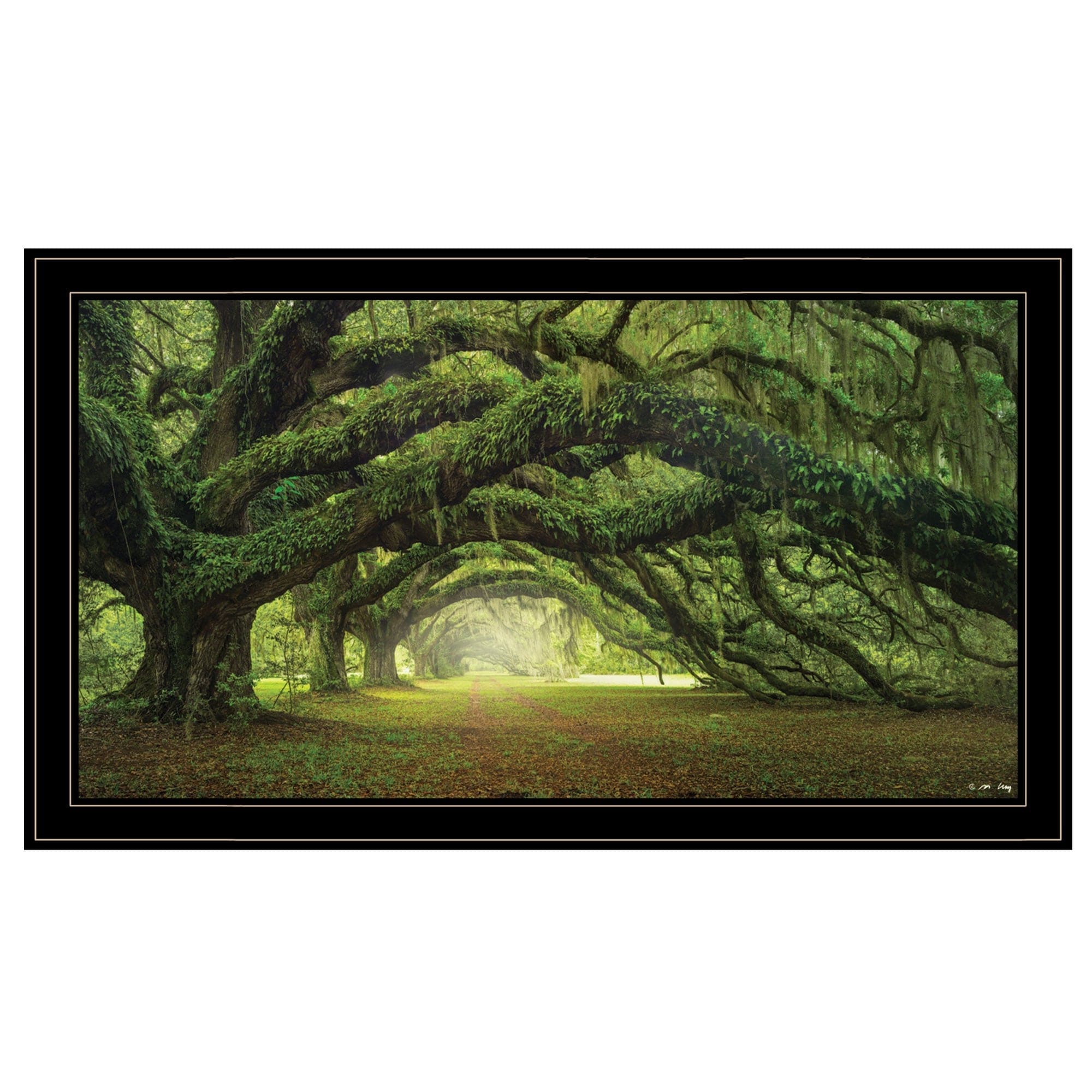 Passage 3 Black Framed Print Wall Art - Homeroots