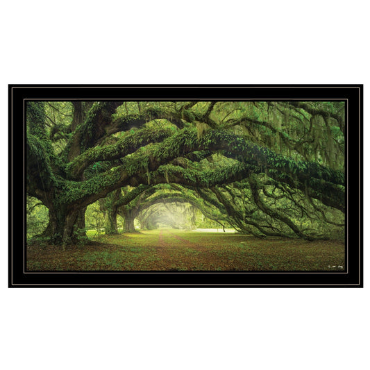 Passage 3 Black Framed Print Wall Art - Homeroots