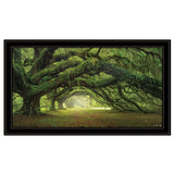 Passage 3 Black Framed Print Wall Art - Homeroots