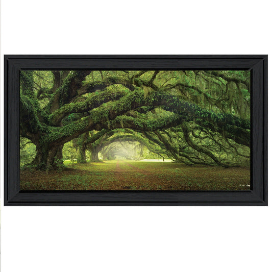 Passage 4 Black Framed Print Wall Art - Homeroots
