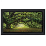 Passage 4 Black Framed Print Wall Art - Homeroots