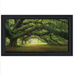 Passage 4 Black Framed Print Wall Art - Homeroots