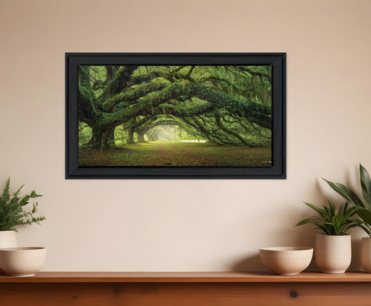 Passage 4 Black Framed Print Wall Art - Homeroots