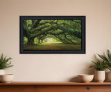 Passage 4 Black Framed Print Wall Art - Homeroots