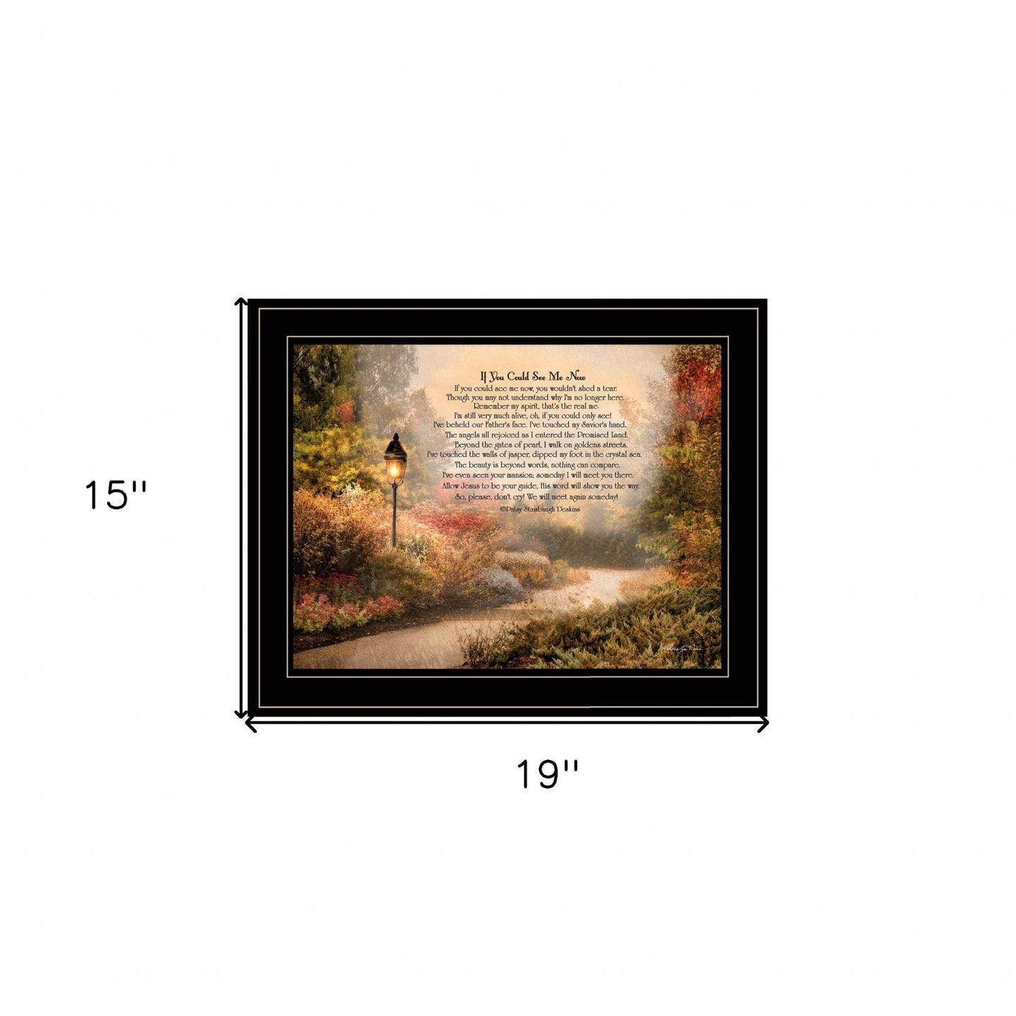 If You Could See Me Now 5 Black Framed Print Wall Art - Homeroots - Flyclothing LLC