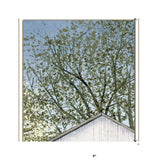 Set Of Two Country Barns 1 White Framed Print Wall Art - Homeroots - Flyclothing LLC