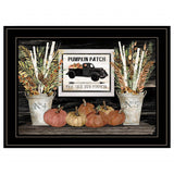 Pumpkin Patch Still Life 3 Black Framed Print Wall Art - Homeroots - Flyclothing LLC