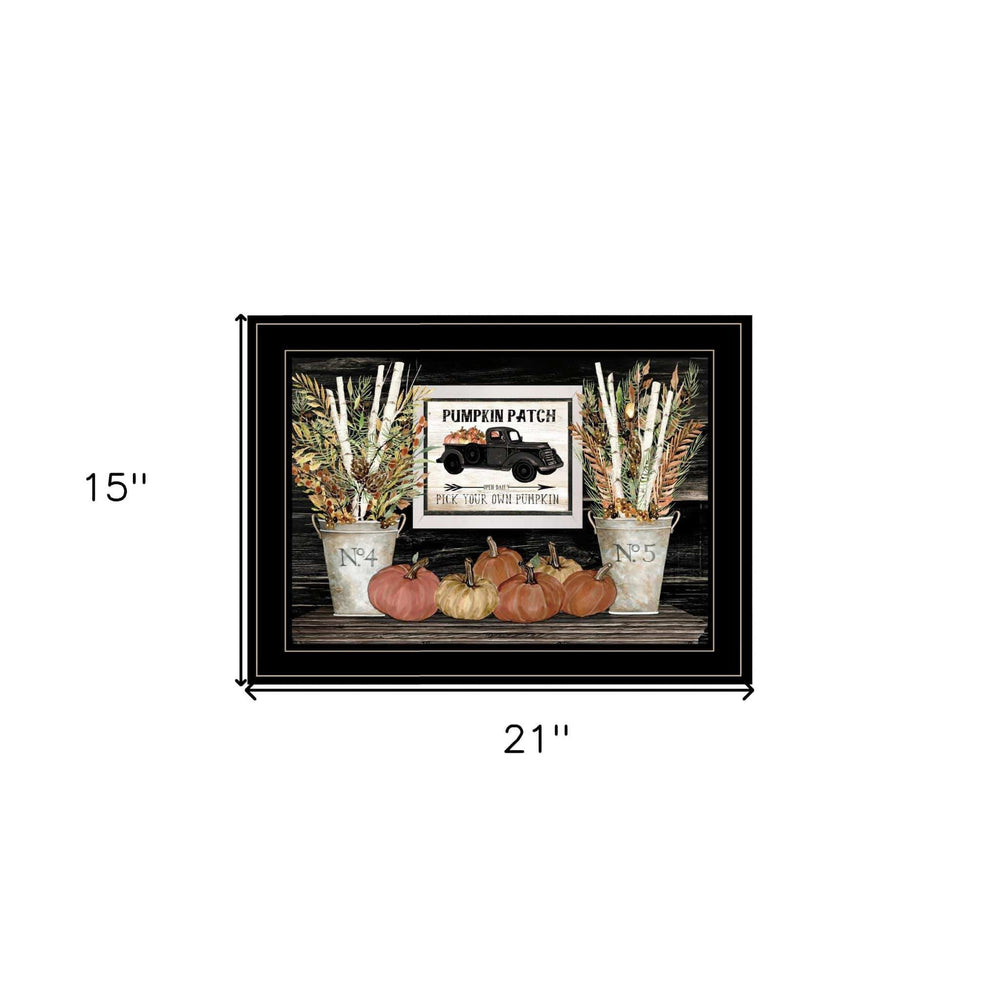 Pumpkin Patch Still Life 3 Black Framed Print Wall Art - Homeroots - Flyclothing LLC