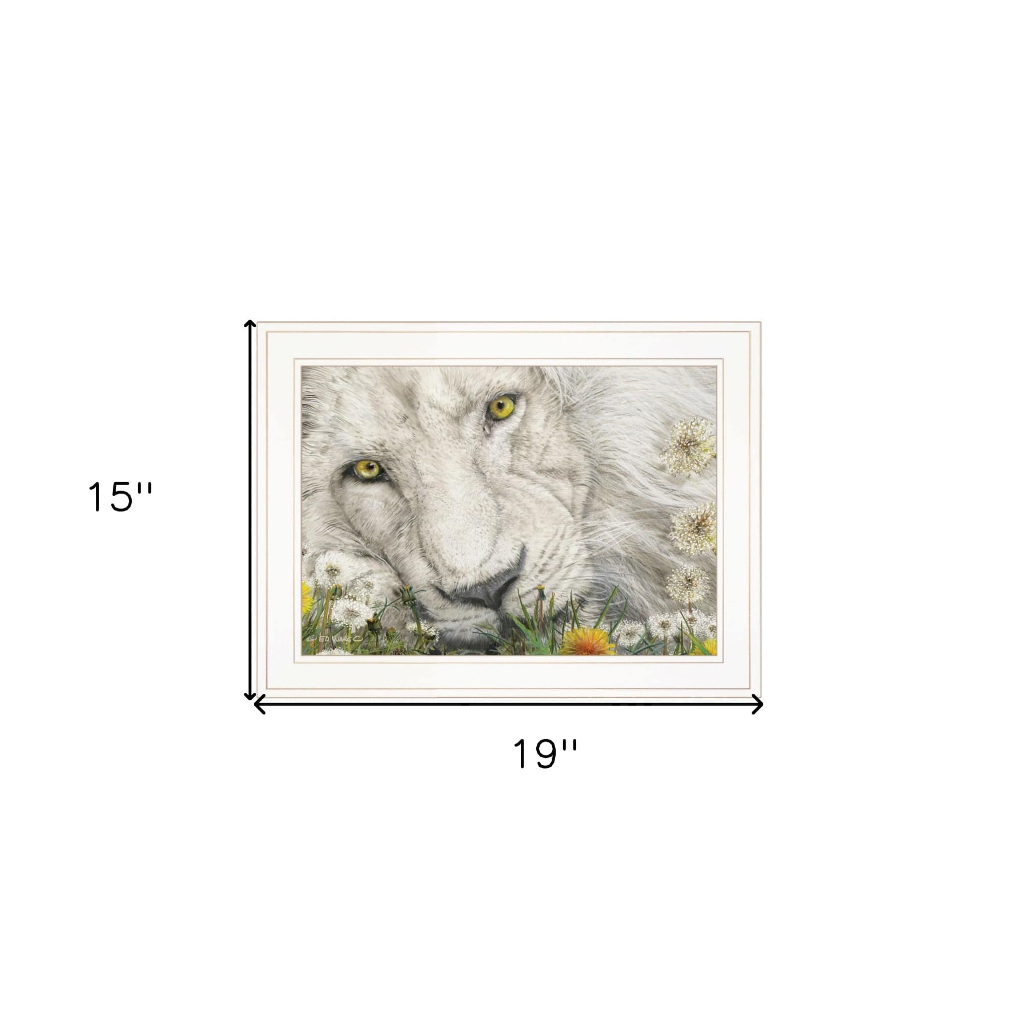 Dandy Lion 2 White Framed Print Wall Art - Homeroots