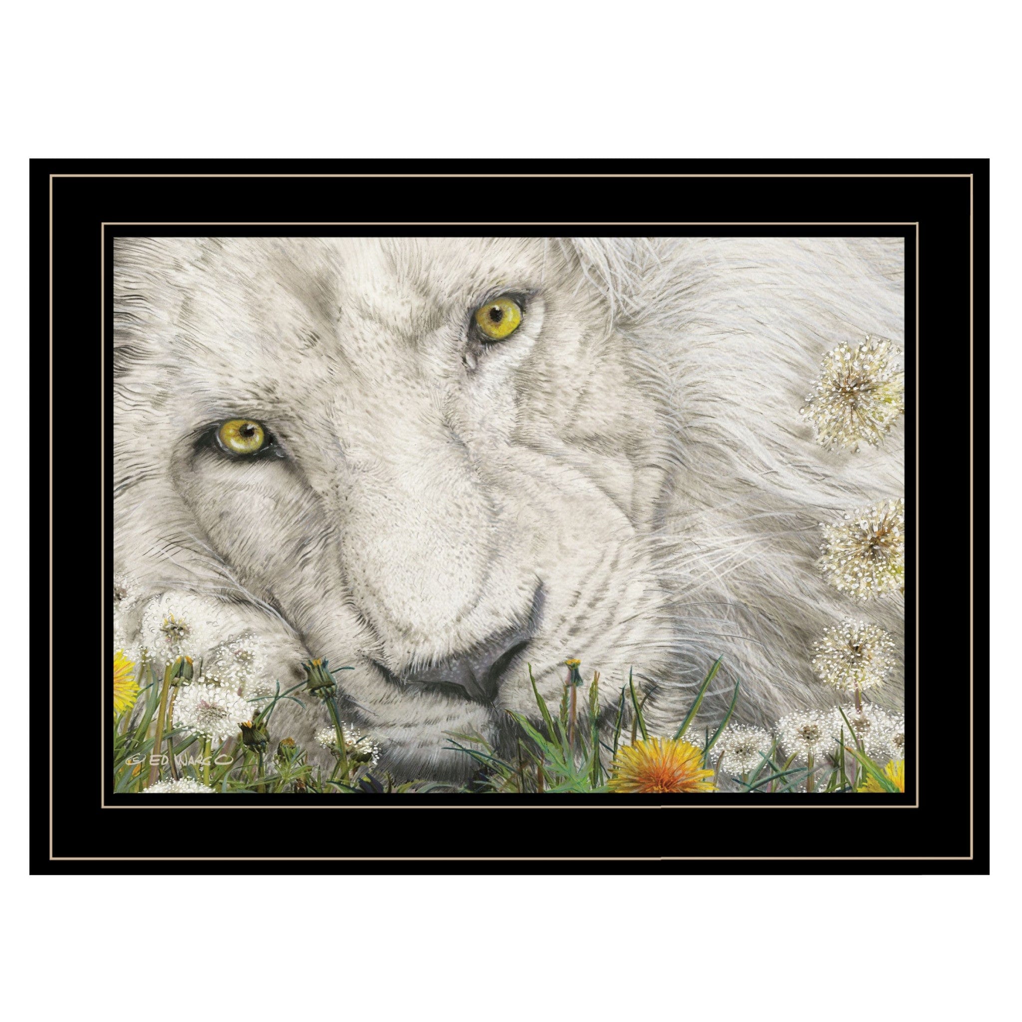 Dandy Lion 3 Black Framed Print Wall Art - Homeroots