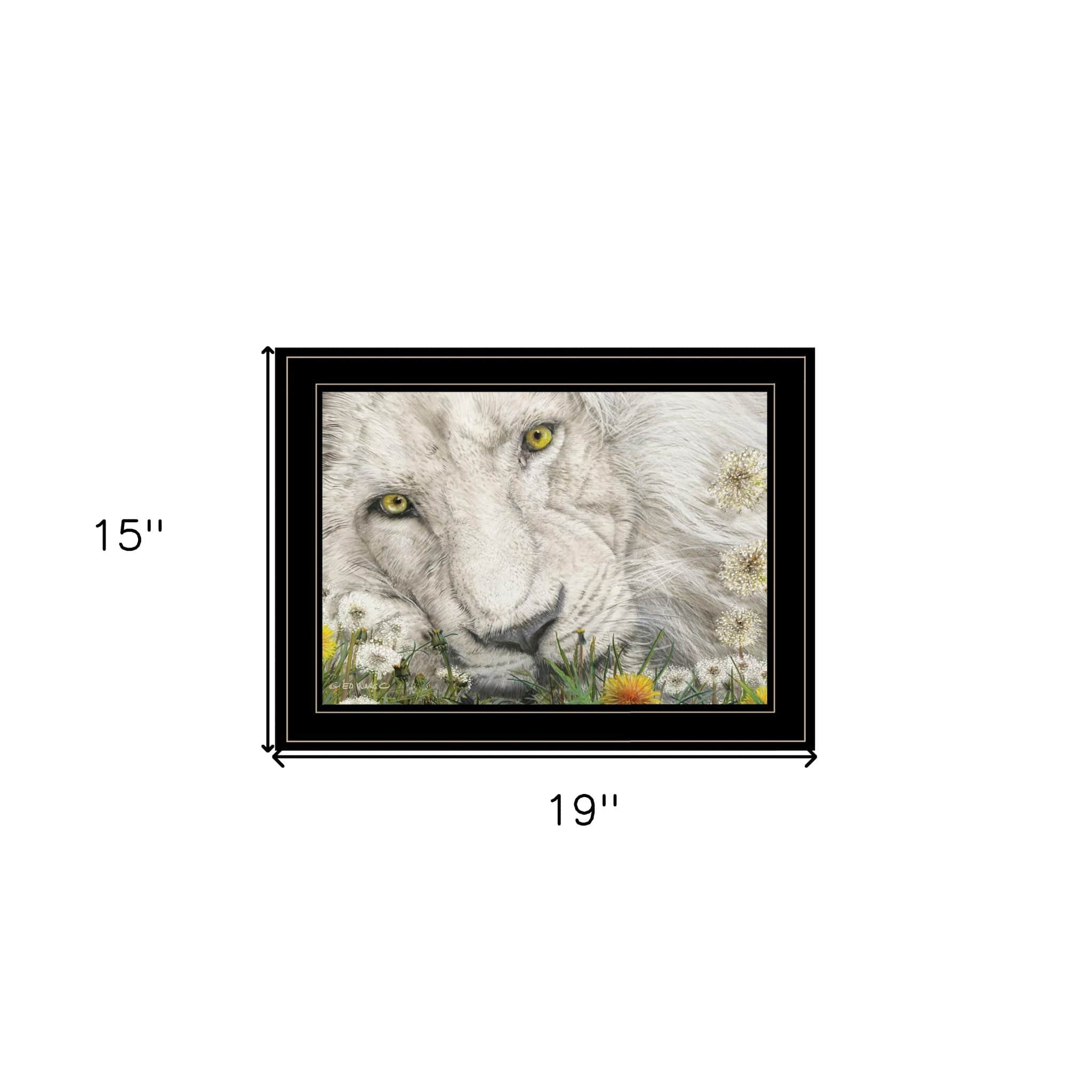 Dandy Lion 3 Black Framed Print Wall Art - Homeroots