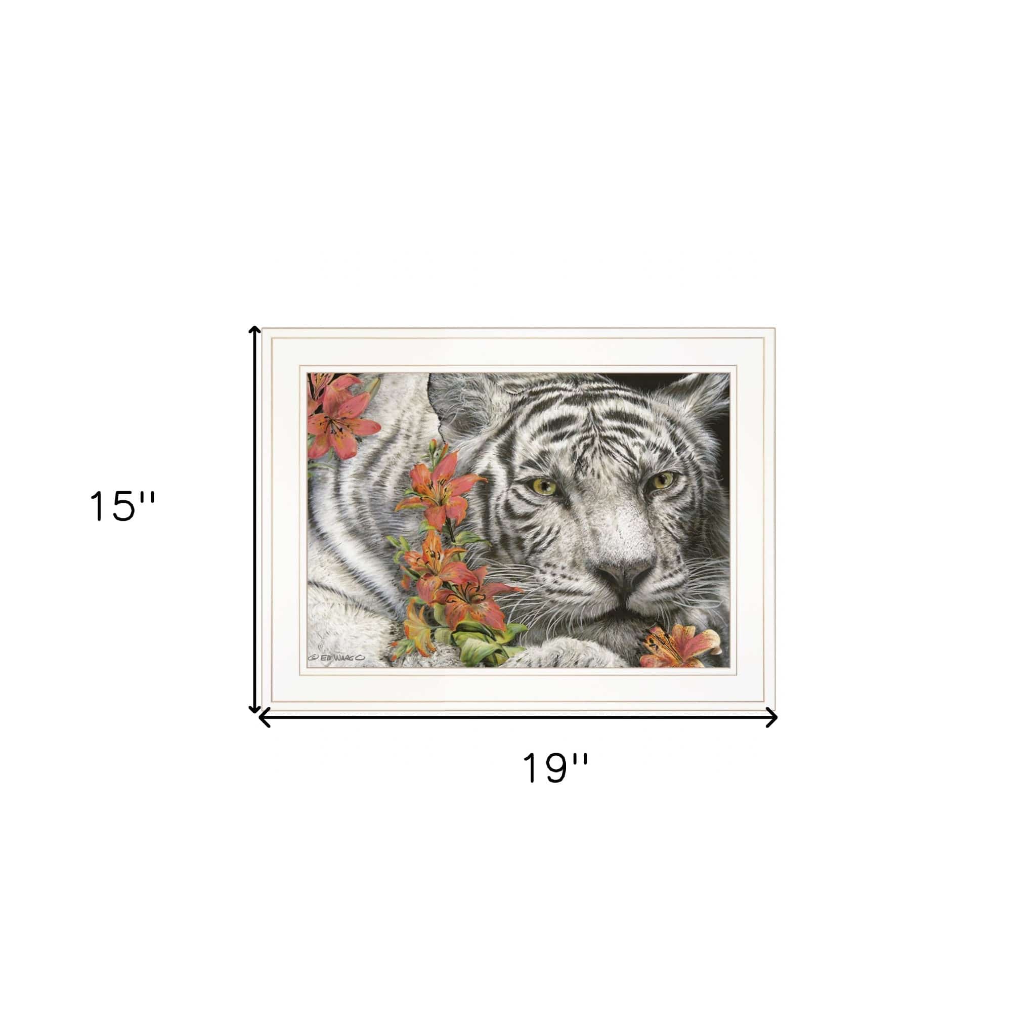 Tiger Lily 2 White Framed Print Wall Art