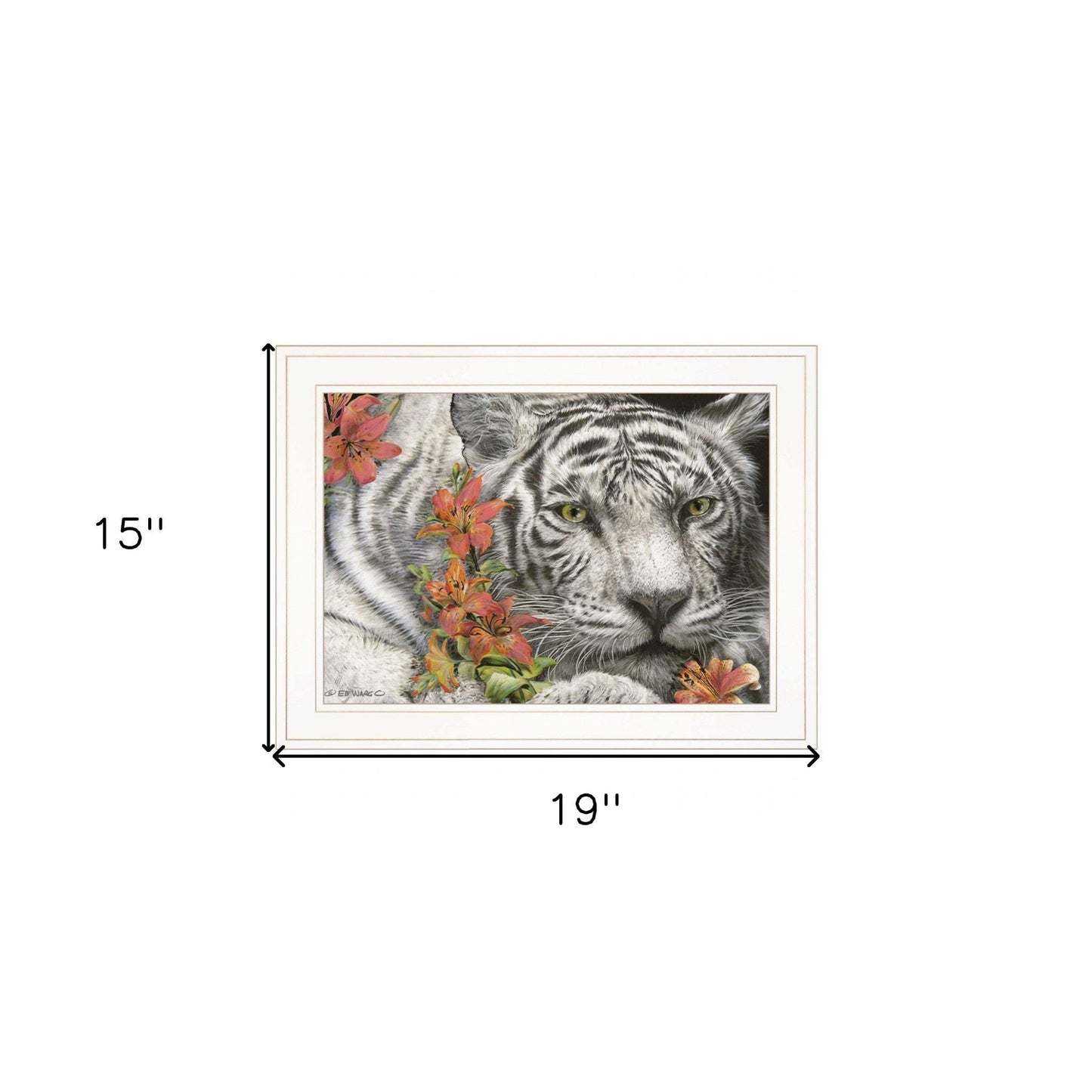 Tiger Lily 2 White Framed Print Wall Art - Homeroots - Flyclothing LLC