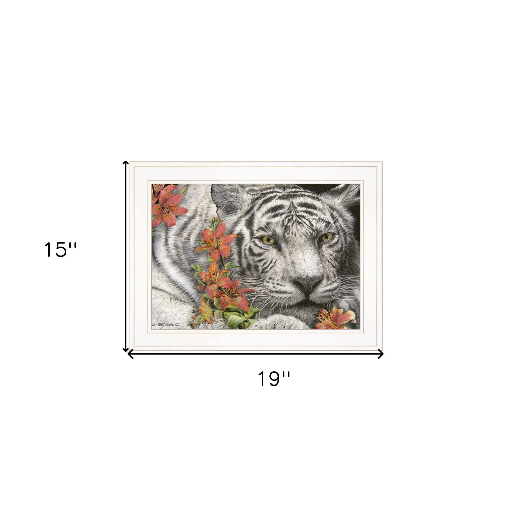 Tiger Lily 2 White Framed Print Wall Art - Homeroots - Flyclothing LLC