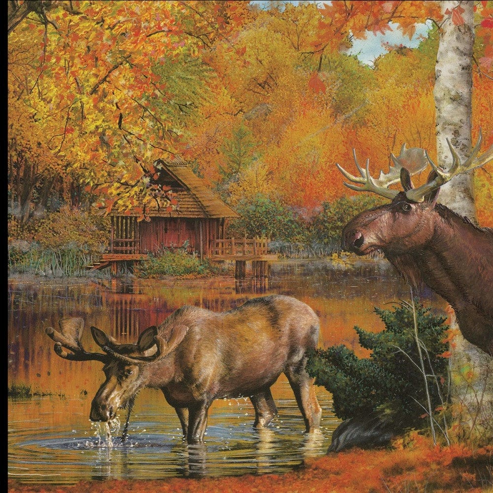 Peaceful Retreat 3 Black Framed Print Wall Art - Homeroots