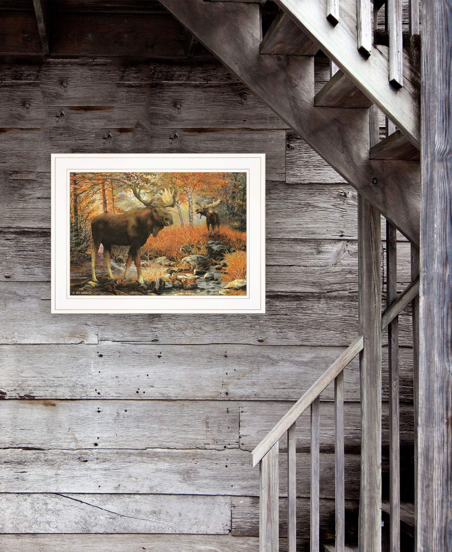 Call of the Wild 2 White Framed Print Wall Art - Homeroots - Flyclothing LLC