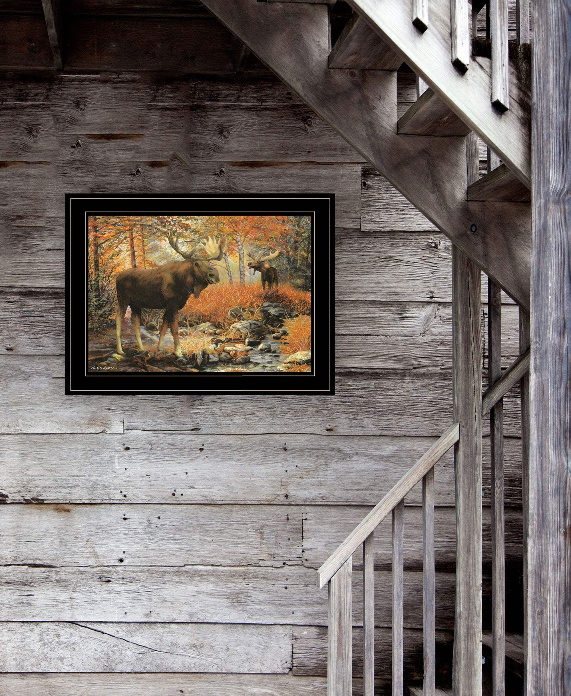 Call of the Wild 3 Black Framed Print Wall Art - Homeroots - Flyclothing LLC