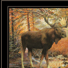Call of the Wild 3 Black Framed Print Wall Art - Homeroots
