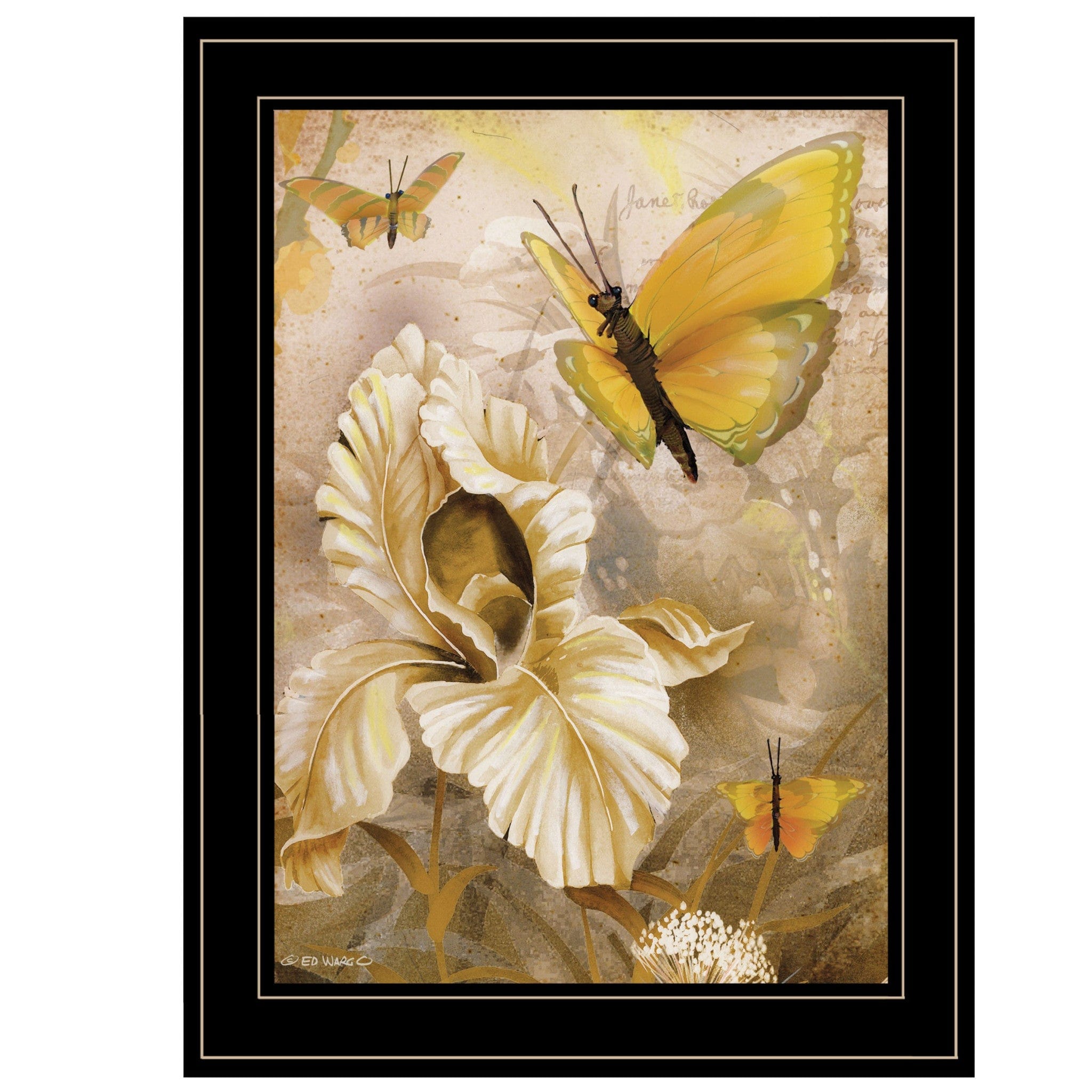 Flowers and Butterflies I 3 Black Framed Print Wall Art - Homeroots