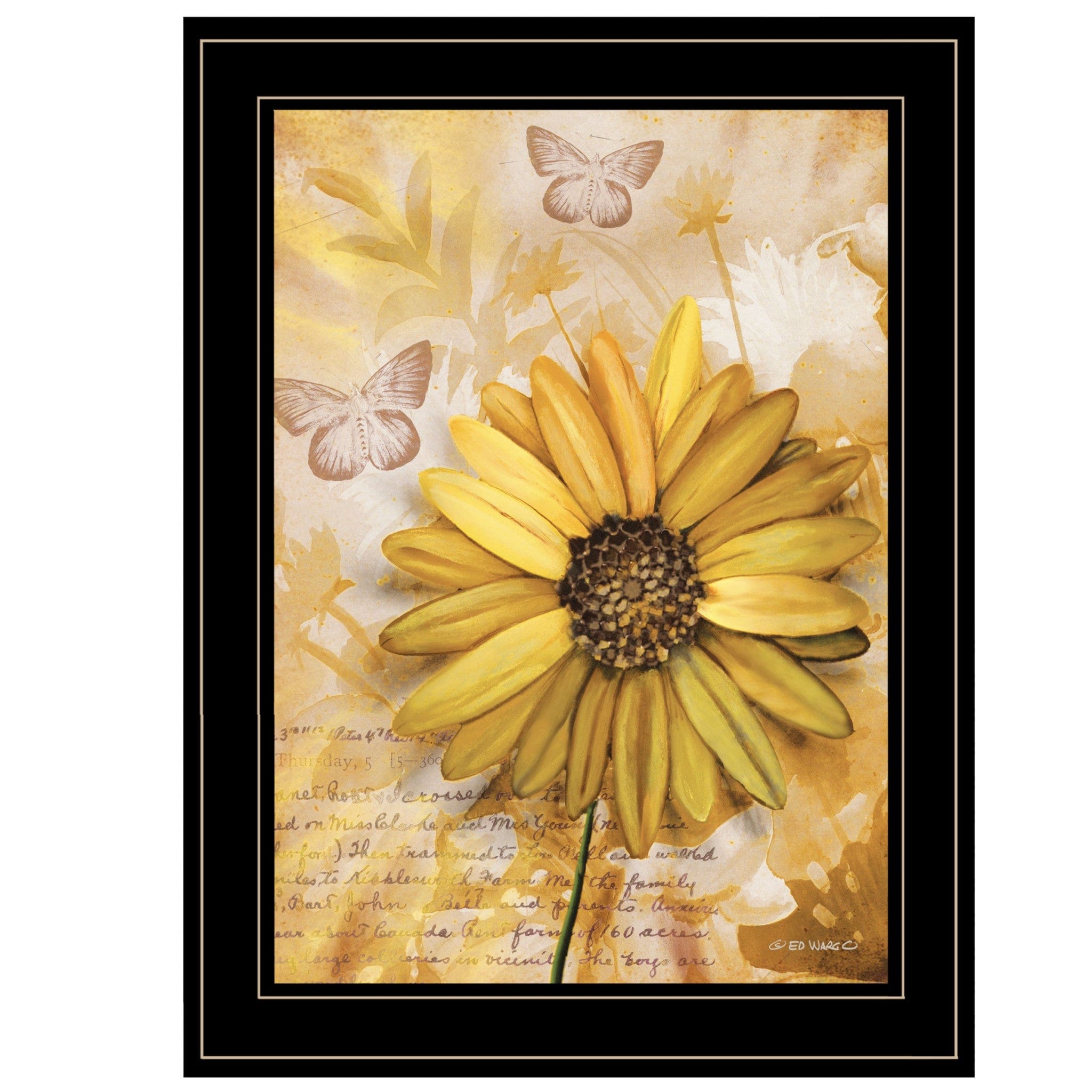 Flowers and Butterflies II 3 Black Framed Print Wall Art - Homeroots