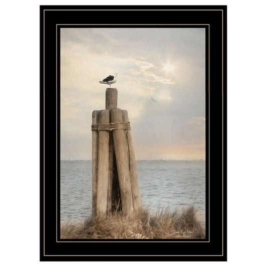 Birds Eye View 3 Black Framed Print Wall Art - Homeroots