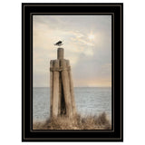 Birds Eye View 3 Black Framed Print Wall Art - Homeroots