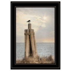Birds Eye View 3 Black Framed Print Wall Art - Homeroots
