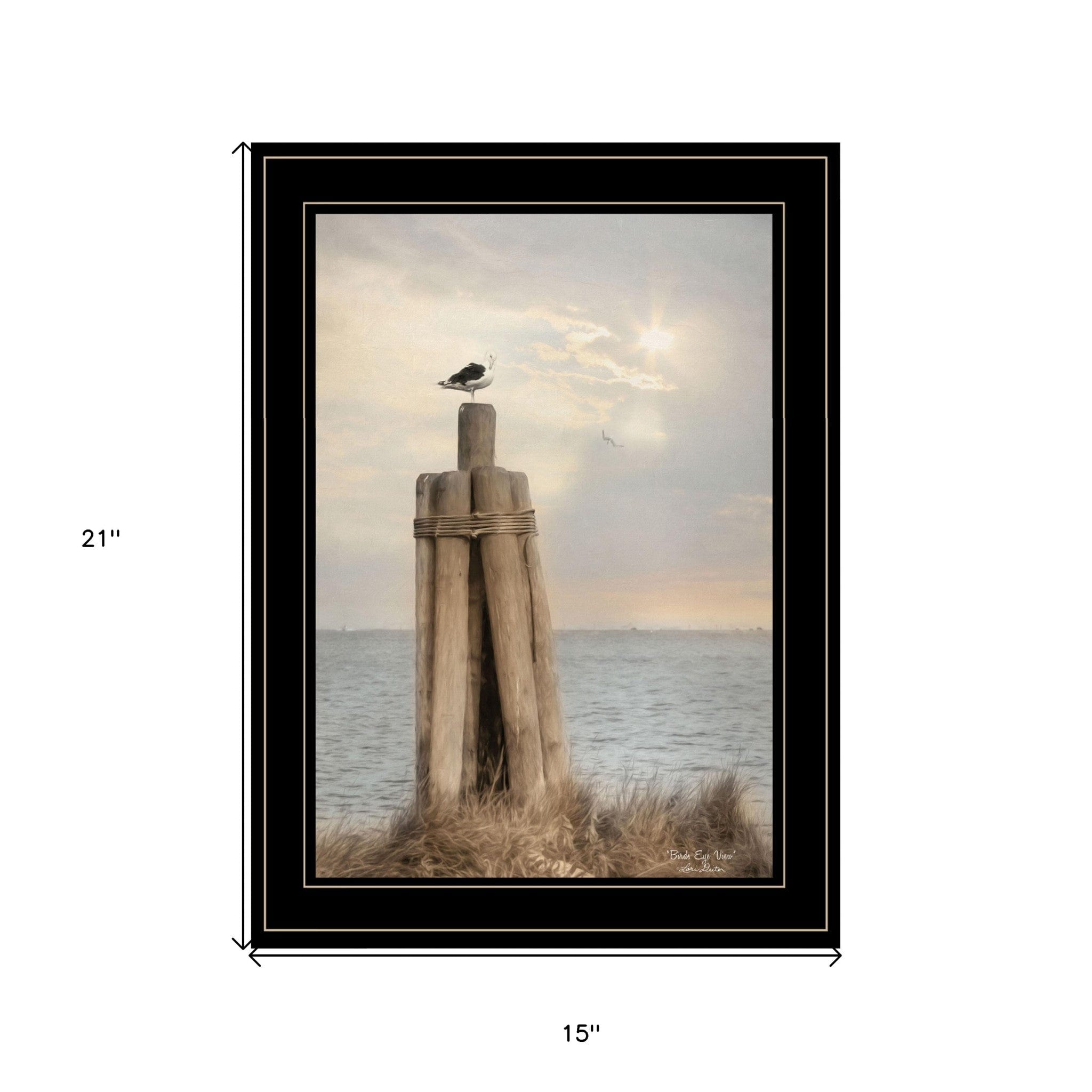 Birds Eye View 3 Black Framed Print Wall Art - Homeroots