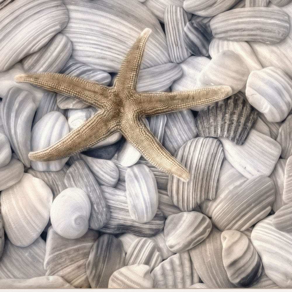 Starfish and Seashells 3 White Framed Print Wall Art - Homeroots - Flyclothing LLC