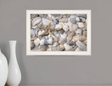 Starfish and Seashells 3 White Framed Print Wall Art - Homeroots