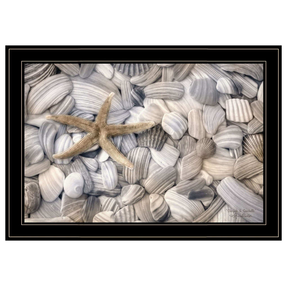 Starfish and Seashells 4 Black Framed Print Wall Art - Homeroots - Flyclothing LLC