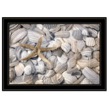 Starfish and Seashells 4 Black Framed Print Wall Art - Homeroots