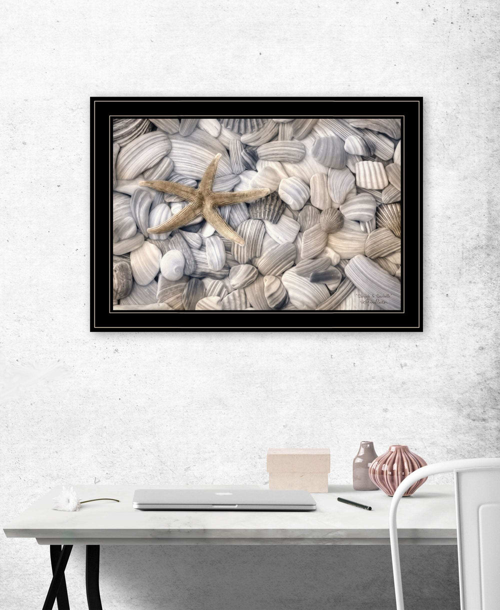 Starfish and Seashells 4 Black Framed Print Wall Art - Homeroots - Flyclothing LLC