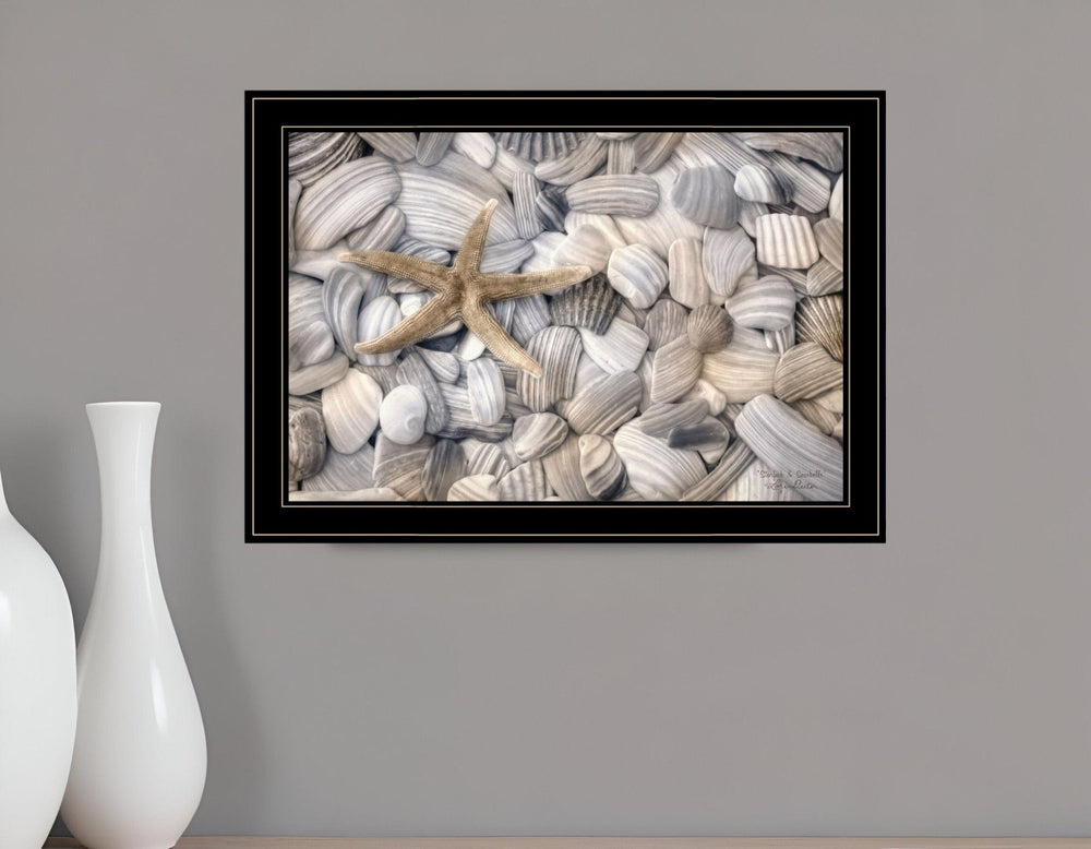 Starfish and Seashells 4 Black Framed Print Wall Art - Homeroots